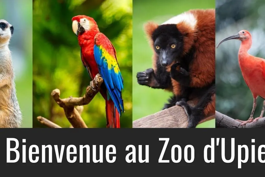 Prázdninový dům Villa Provencale Et Familiale La Bégude-de-Mazenc